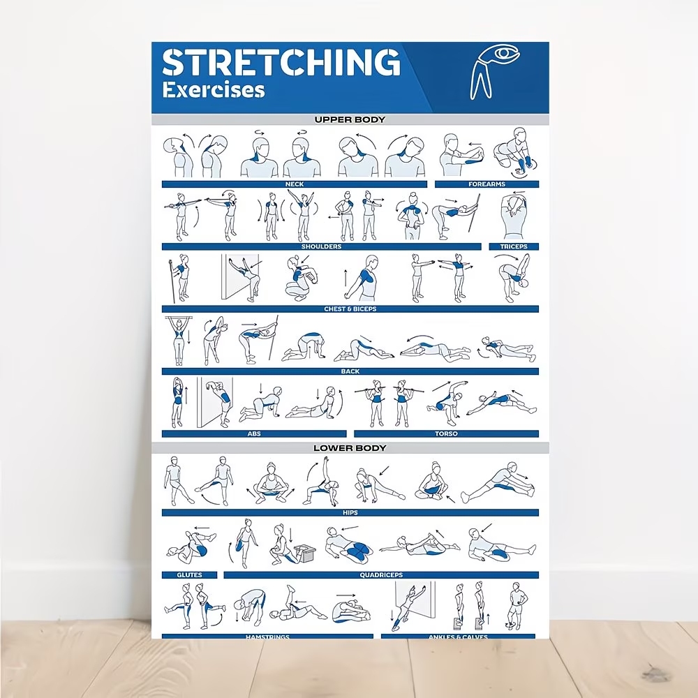 현대적인 라벨이 붙은 전신 스트레칭 운동을 하는 사람을 - Sports Equipment Poster 리뷰 및 가격